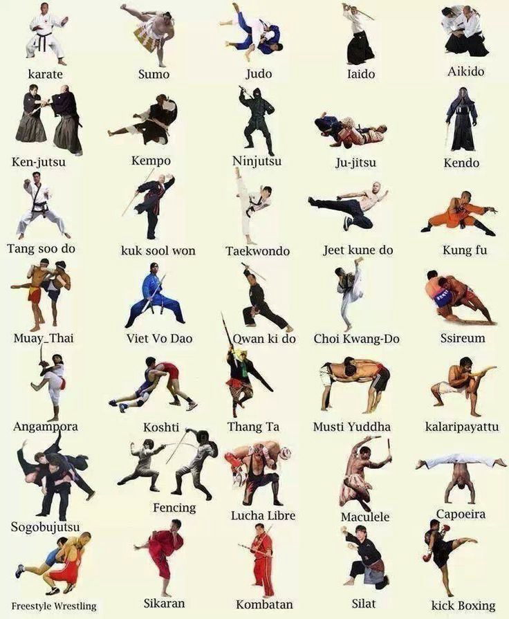 various martial arts